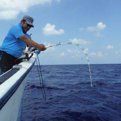 オーシャンパイオニア 釣果