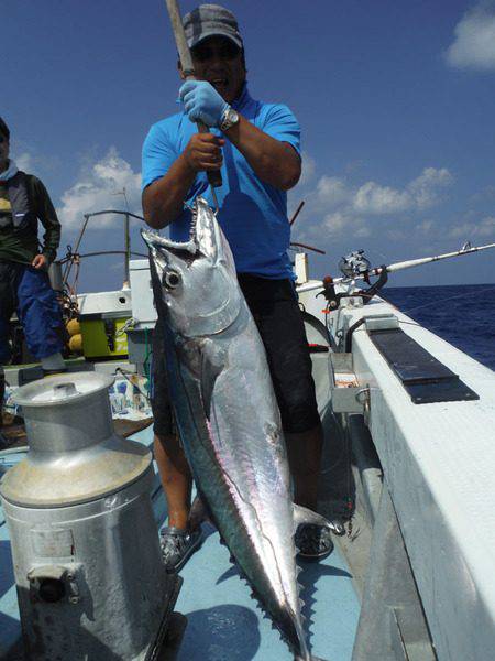 オーシャンパイオニア 釣果