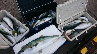 IDATEN(イダテン) 釣果