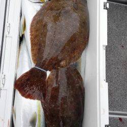 第二大福丸 釣果