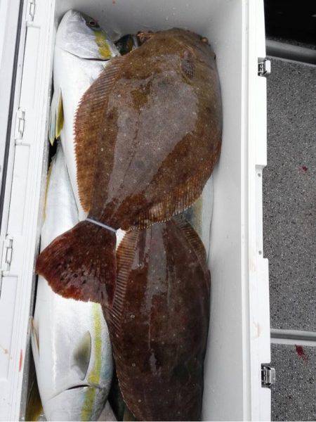 第二大福丸 釣果