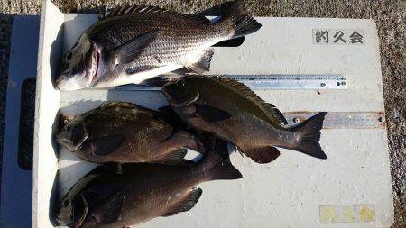 坂下丸 釣果