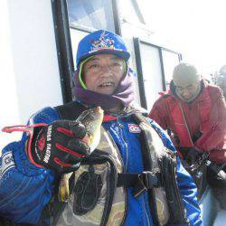 大進丸（愛知） 釣果