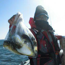 大進丸（愛知） 釣果