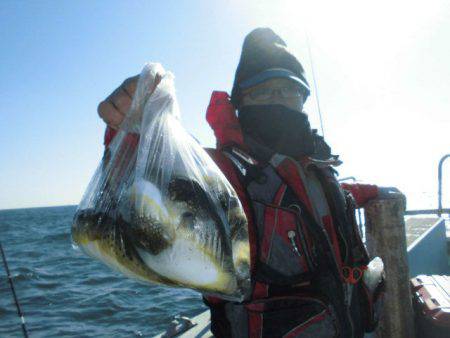 大進丸（愛知） 釣果