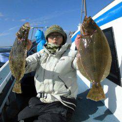 大進丸（愛知） 釣果