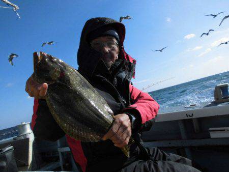 大進丸（愛知） 釣果