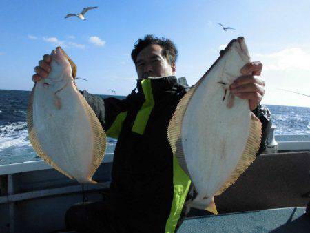 大進丸（愛知） 釣果
