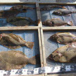 大進丸（愛知） 釣果