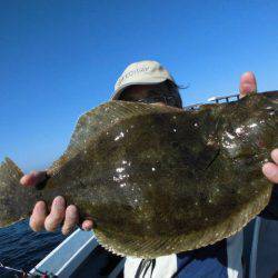 大進丸（愛知） 釣果