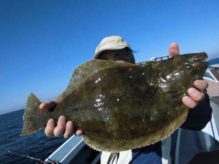 大進丸（愛知） 釣果
