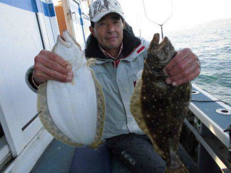 大進丸（愛知） 釣果