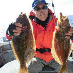 大進丸（愛知） 釣果