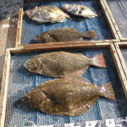 大進丸（愛知） 釣果