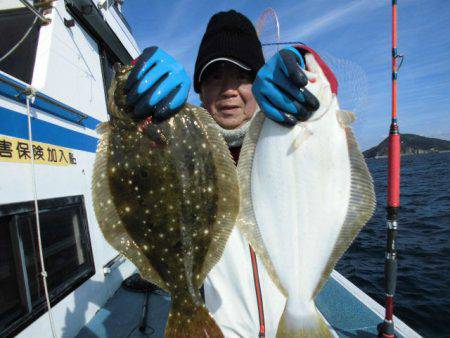 大進丸（愛知） 釣果