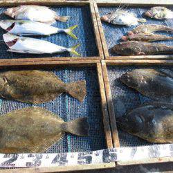 大進丸（愛知） 釣果