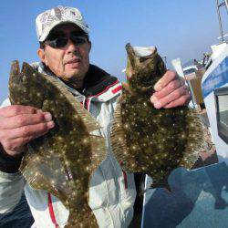 大進丸（愛知） 釣果