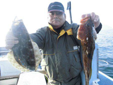 大進丸（愛知） 釣果