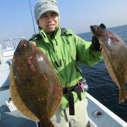 大進丸（愛知） 釣果