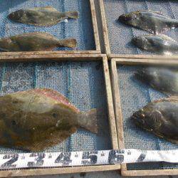 大進丸（愛知） 釣果