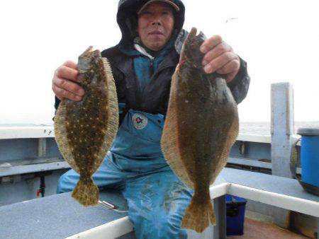 大進丸（愛知） 釣果