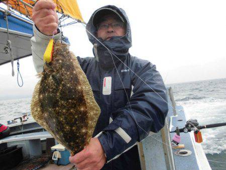 大進丸（愛知） 釣果