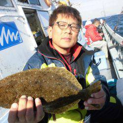 大進丸（愛知） 釣果