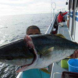 大進丸(愛知) 釣果