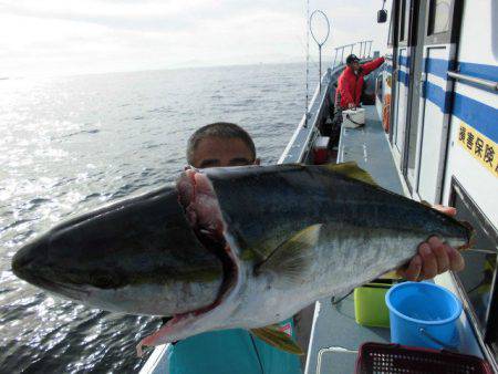 大進丸(愛知) 釣果