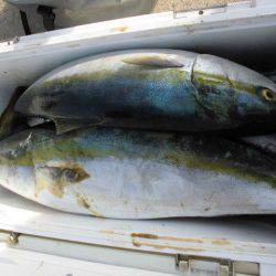 大進丸(愛知) 釣果