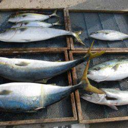 大進丸(愛知) 釣果