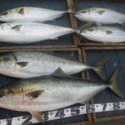 大進丸（愛知） 釣果