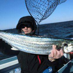 大進丸（愛知） 釣果