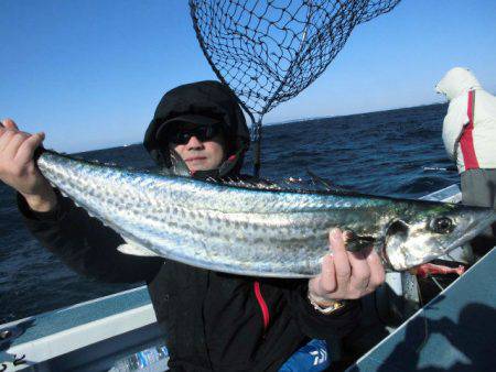 大進丸（愛知） 釣果