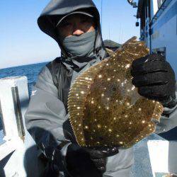 大進丸（愛知） 釣果