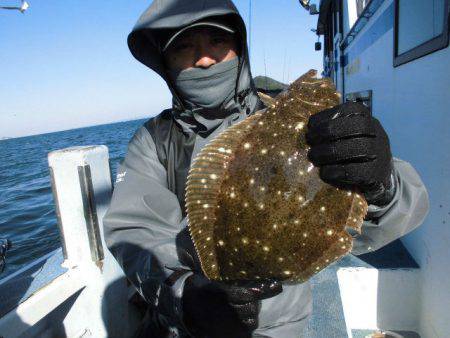 大進丸（愛知） 釣果