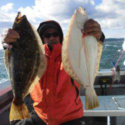 大進丸（愛知） 釣果