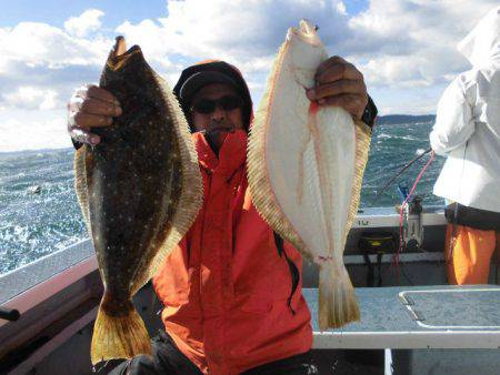 大進丸（愛知） 釣果