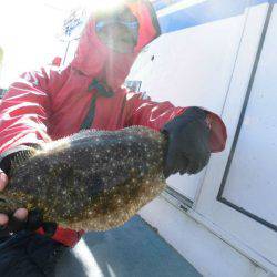 大進丸（愛知） 釣果