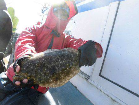 大進丸（愛知） 釣果