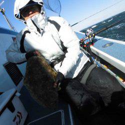 大進丸（愛知） 釣果