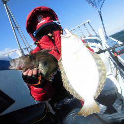 大進丸（愛知） 釣果