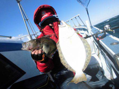 大進丸（愛知） 釣果