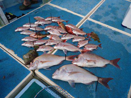 十八宝洋丸 釣果