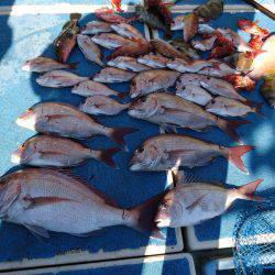 十八宝洋丸 釣果