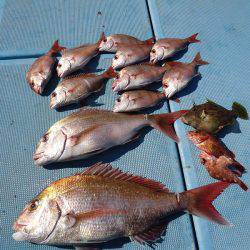 十八宝洋丸 釣果