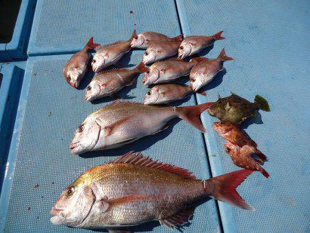 十八宝洋丸 釣果