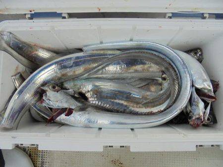 HARUKA丸 はるかまる 釣果