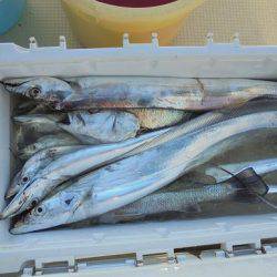 HARUKA丸 はるかまる 釣果