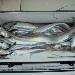 ＨＡＲＵＫＡ丸　はるかまる 釣果